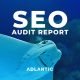 seo audit and review